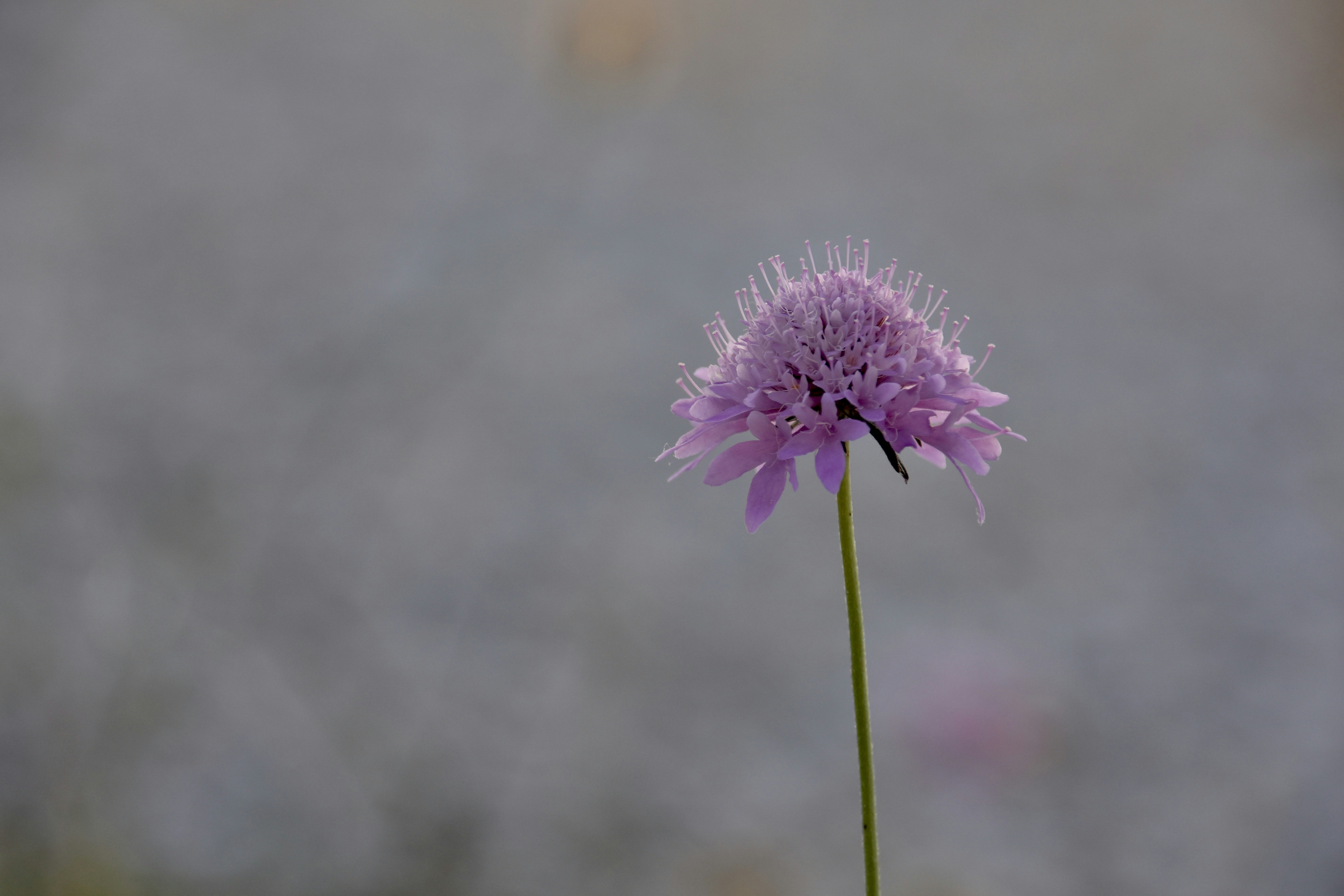 Photo by mariobeducci