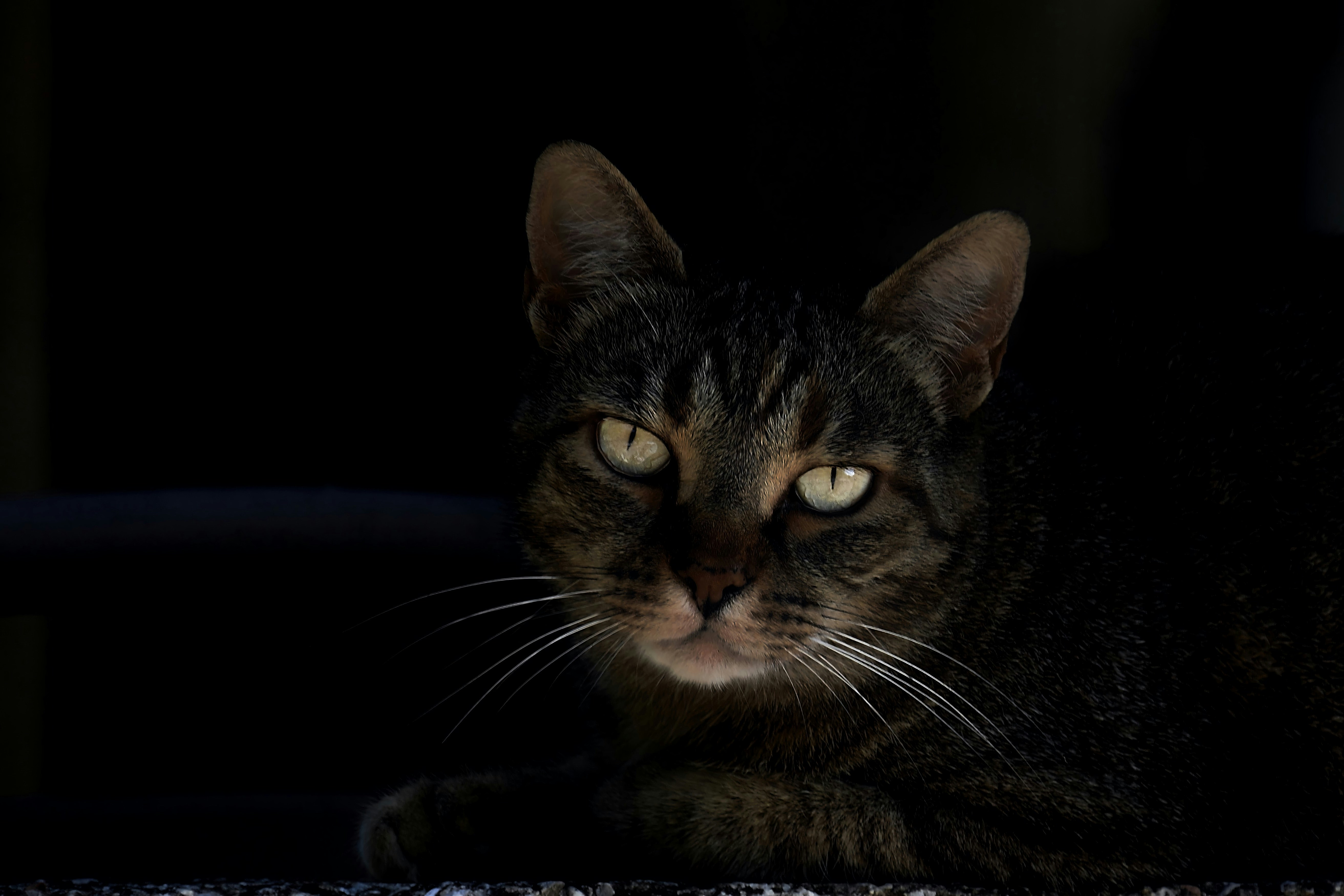 Photo by mariobeducci