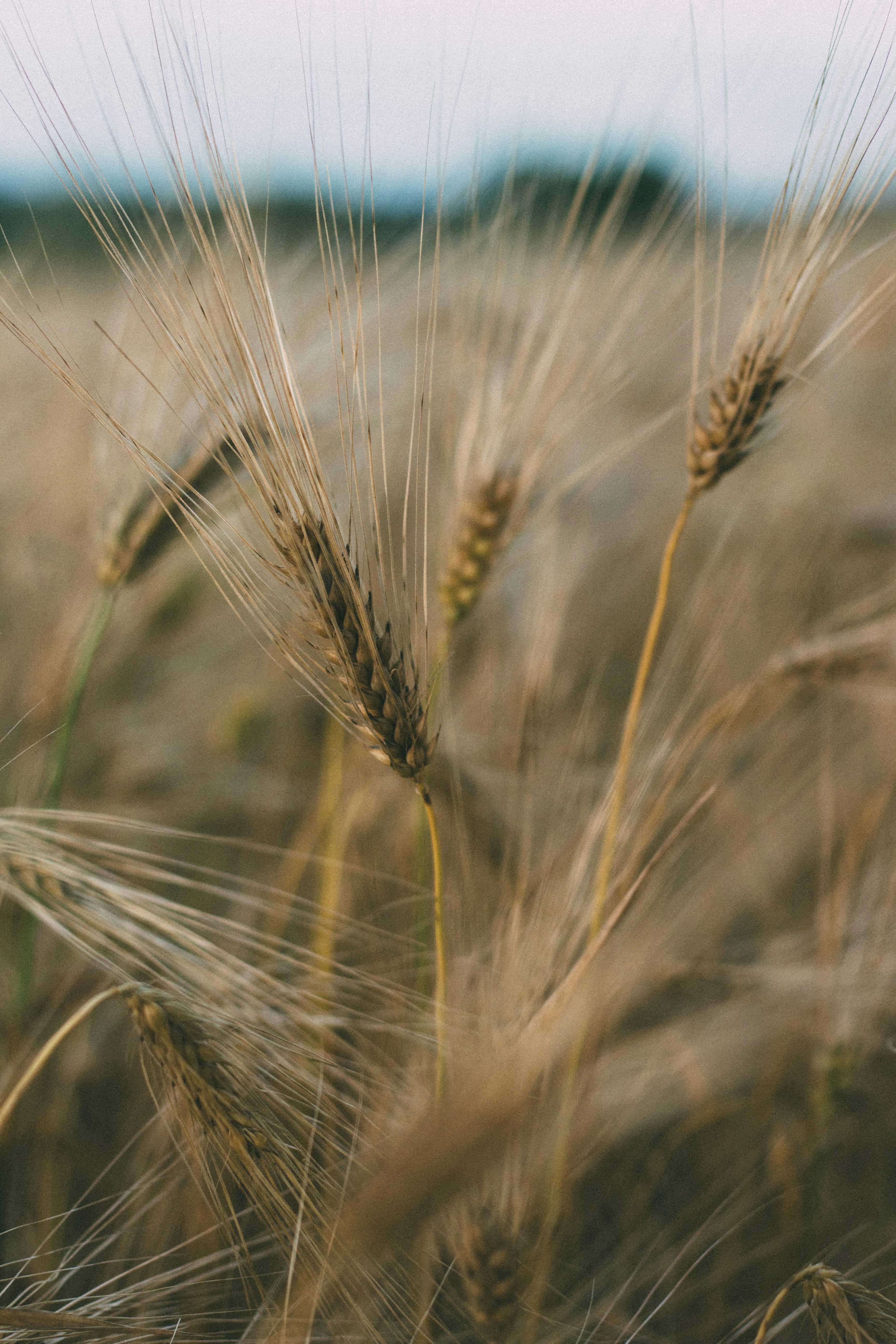 Photo by viktorsmoliak