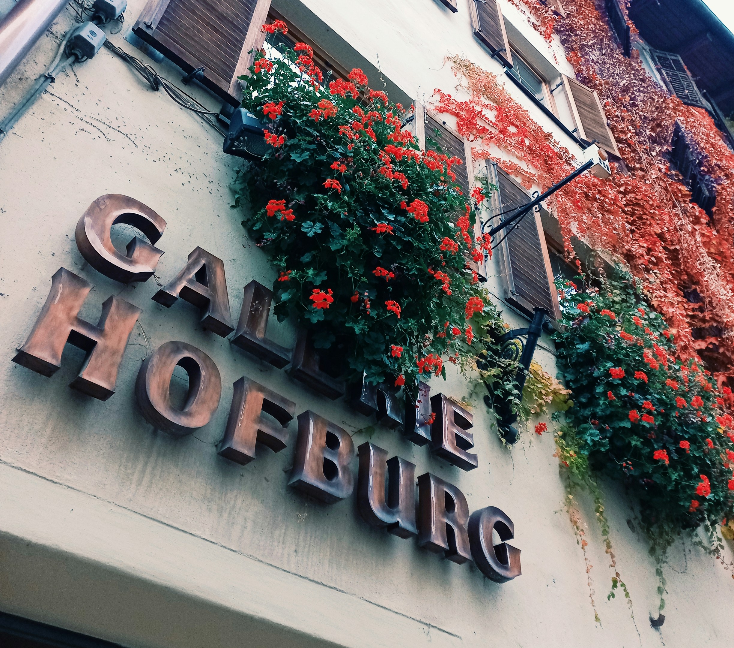 a building with flowers growing on the side of it