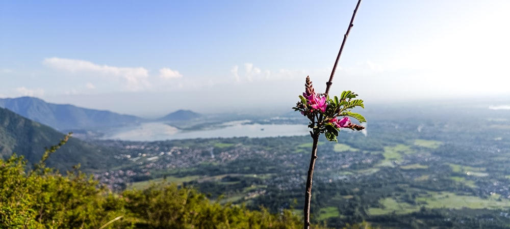 a view of a valley and a lake from a hill