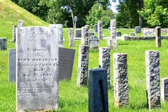 Wide shot of a cemetery tombstone with newly renovated inscriptions shining under soft daylight