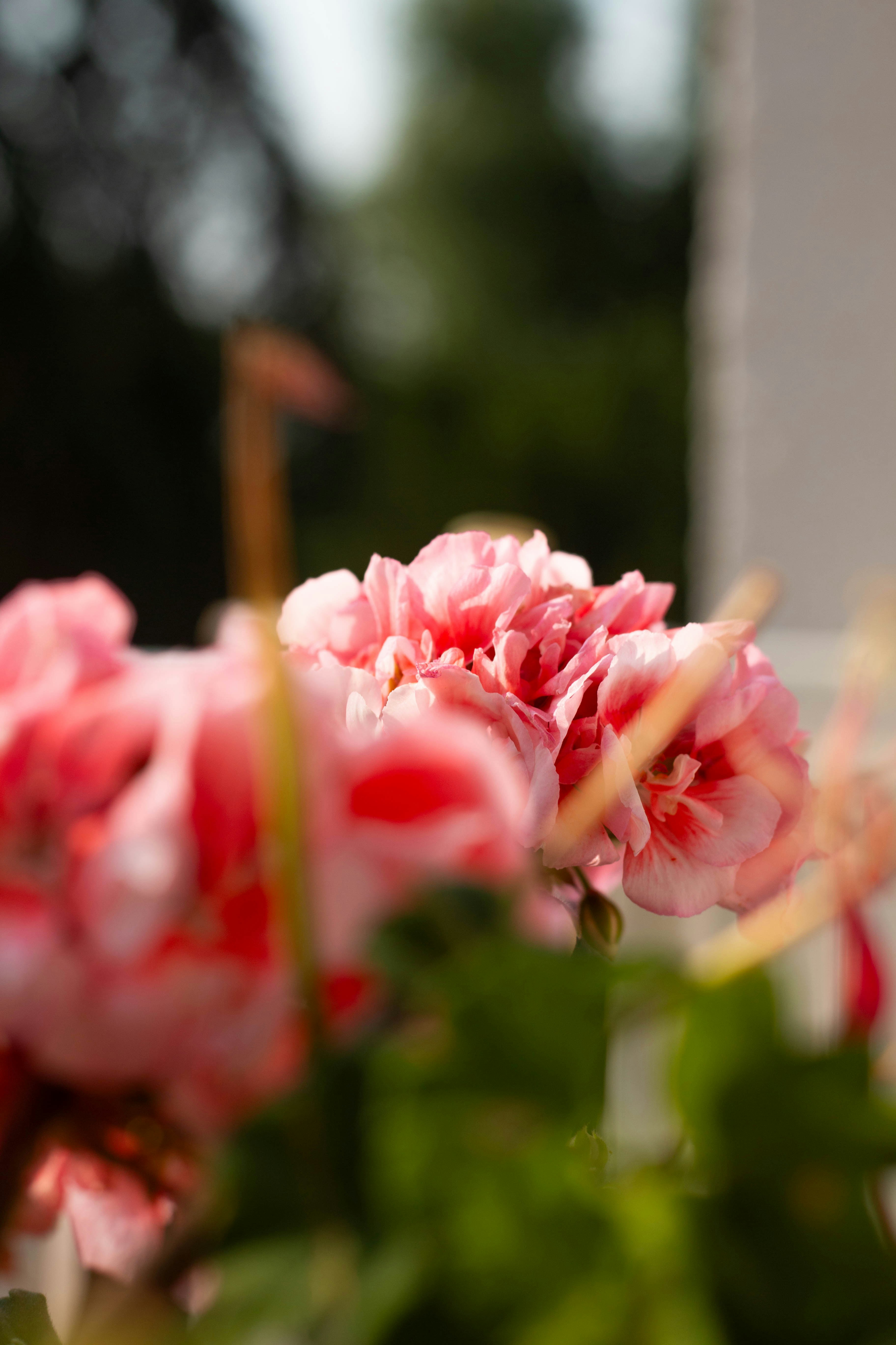 Photo by leadeleligne