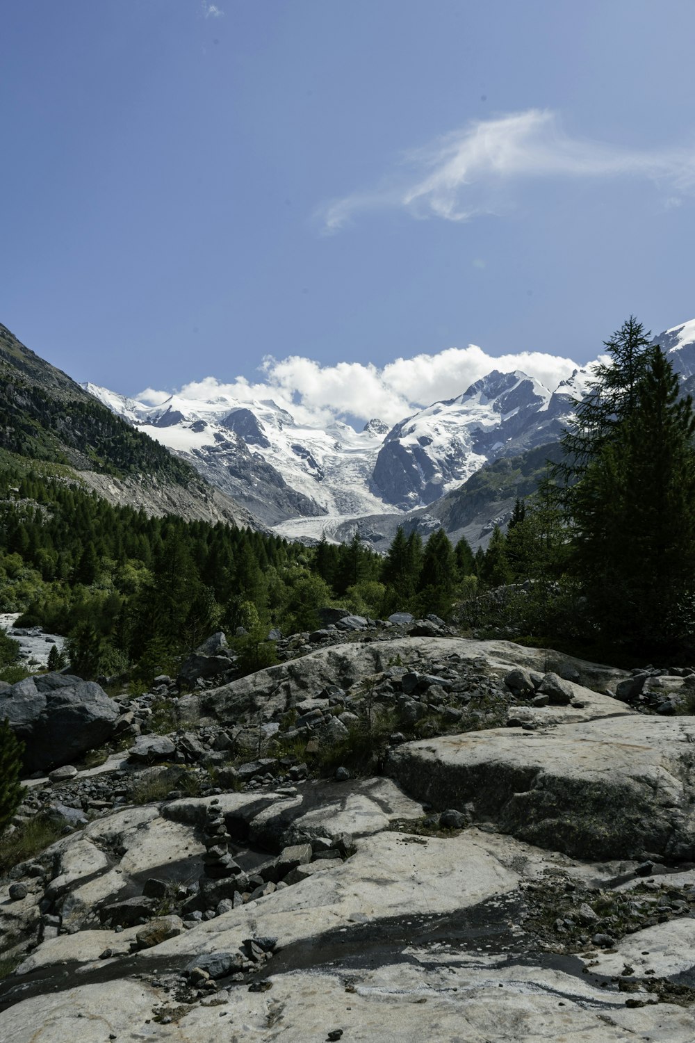 a view of a mountain range with trees in the foreground