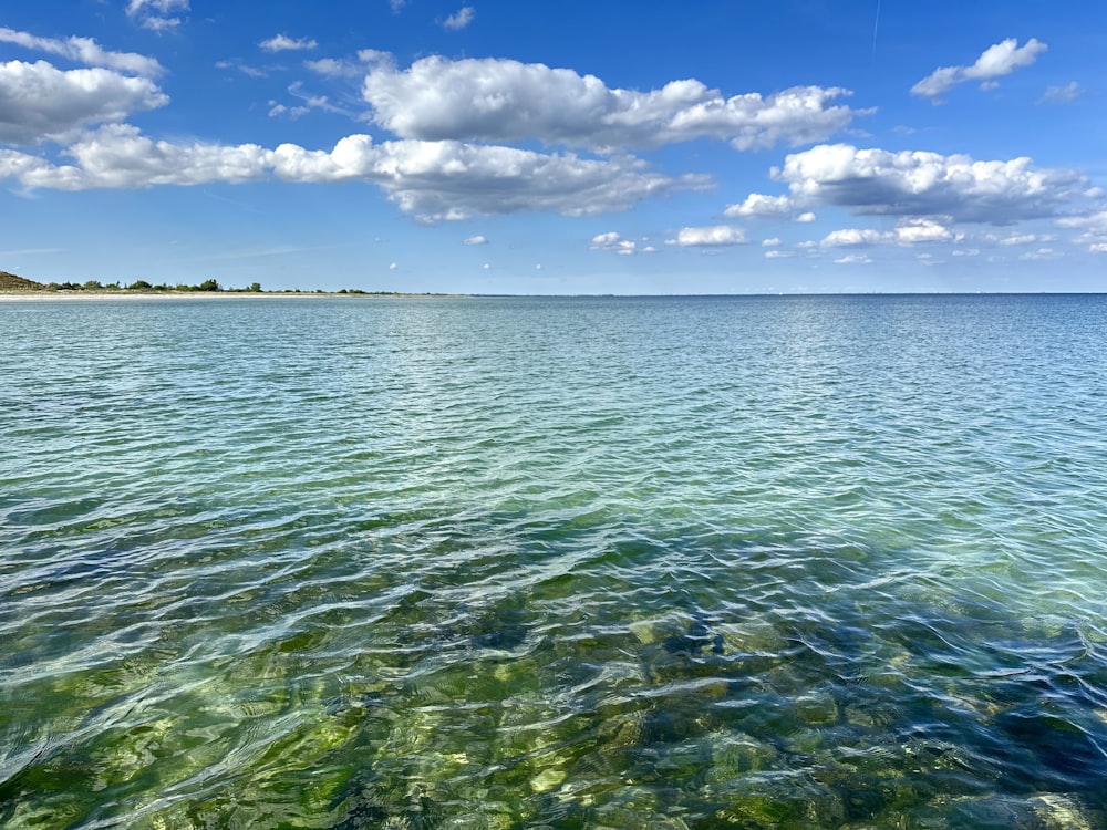 a body of water that has some green algae in it