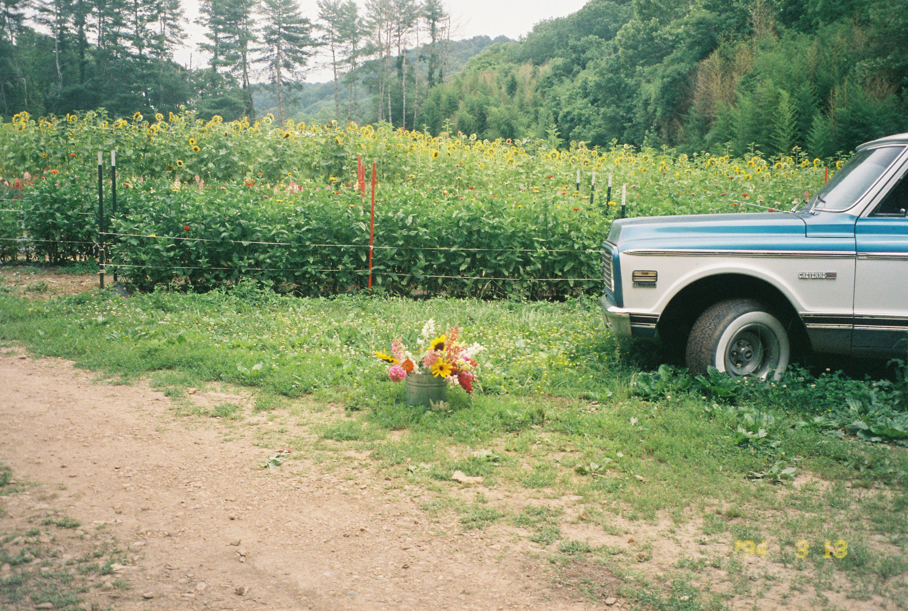 a truck parked next to a field of flowers