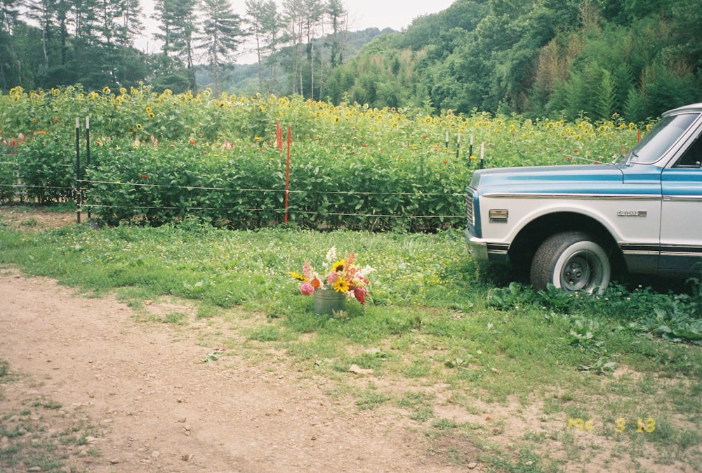 a truck parked next to a field of flowers
