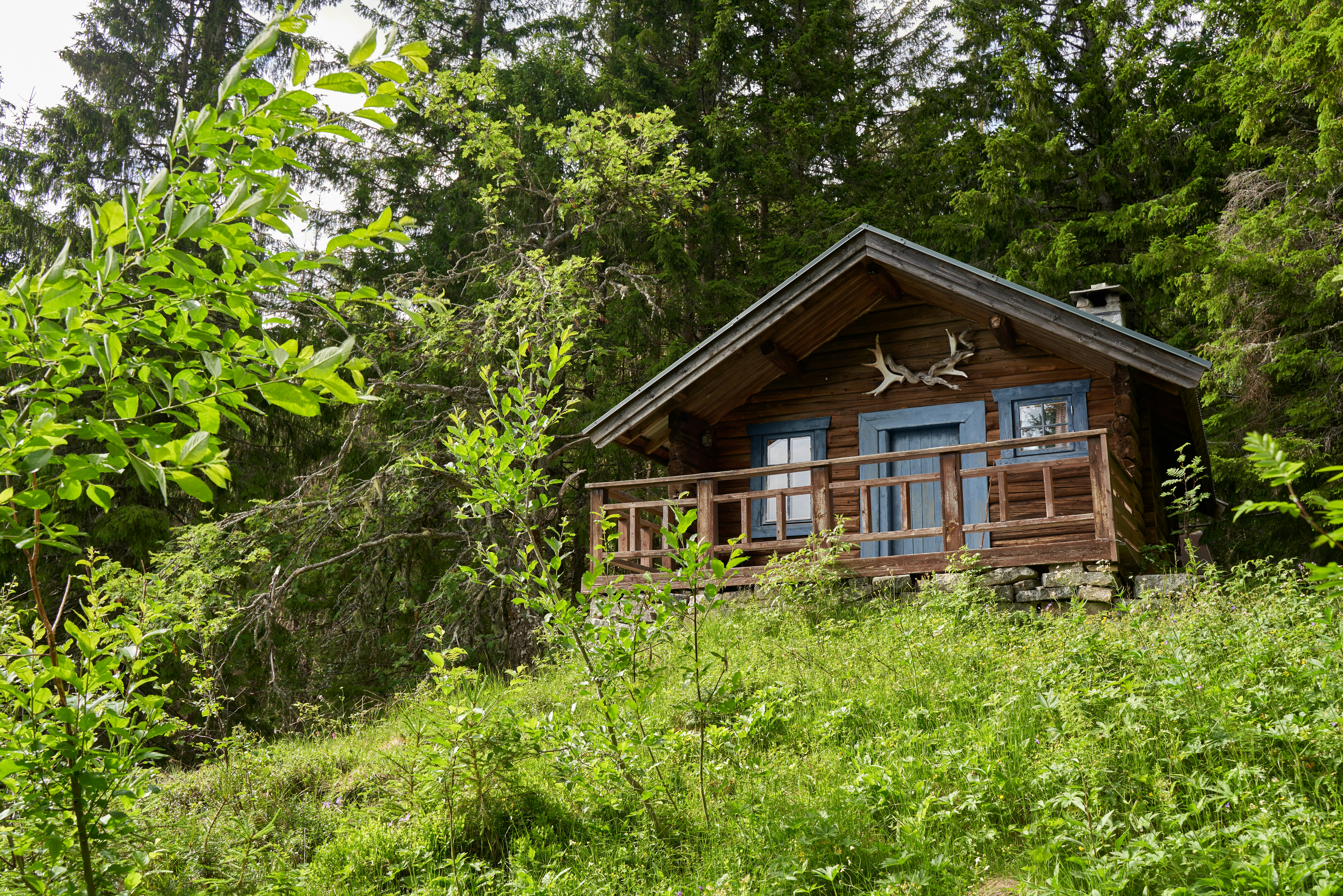 Photo by davotibarna