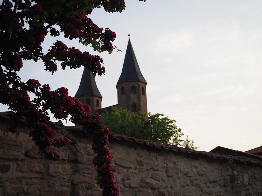 a stone wall with two towers and a tree in front of it