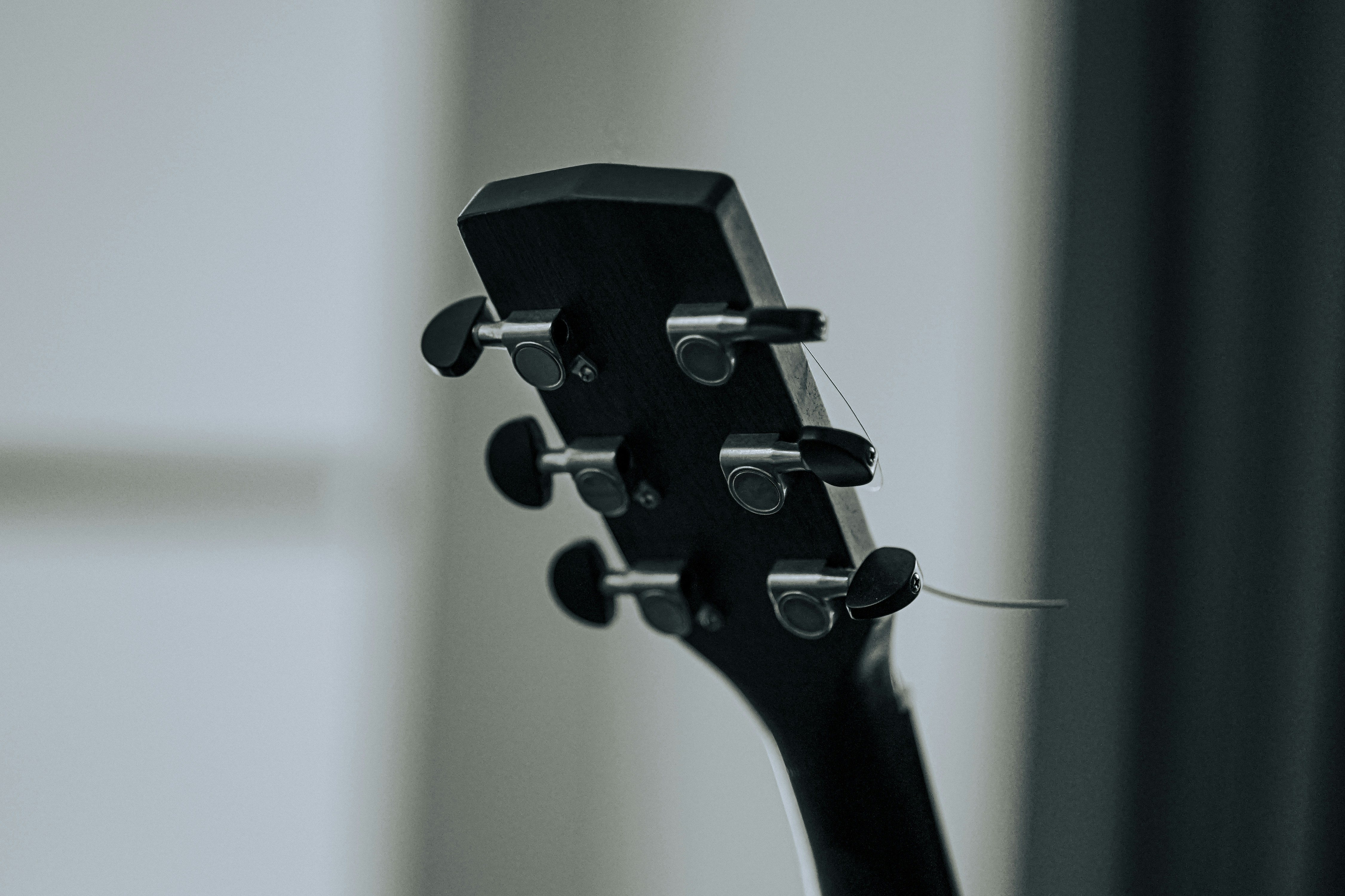a black and white photo of a guitar neck