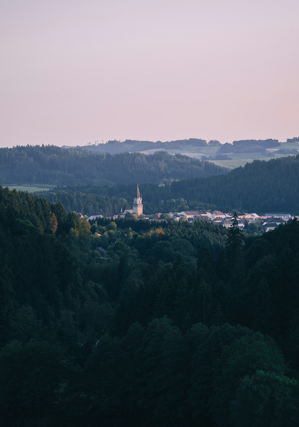 una vista di una foresta con una chiesa in lontananza