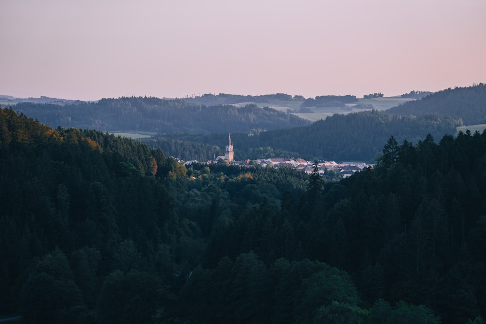 una vista di una foresta con una chiesa in lontananza