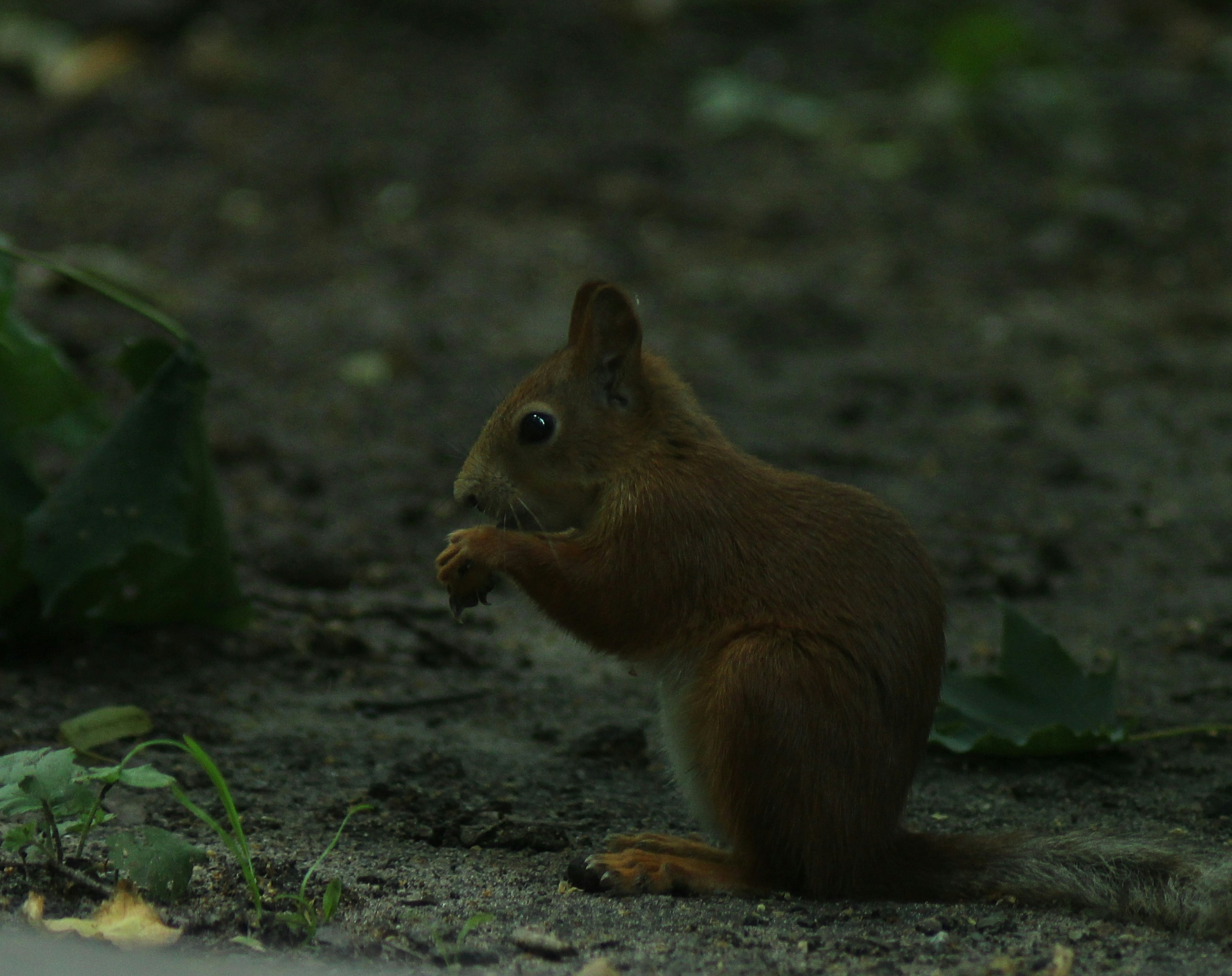 Photo by theoldbeautifulman