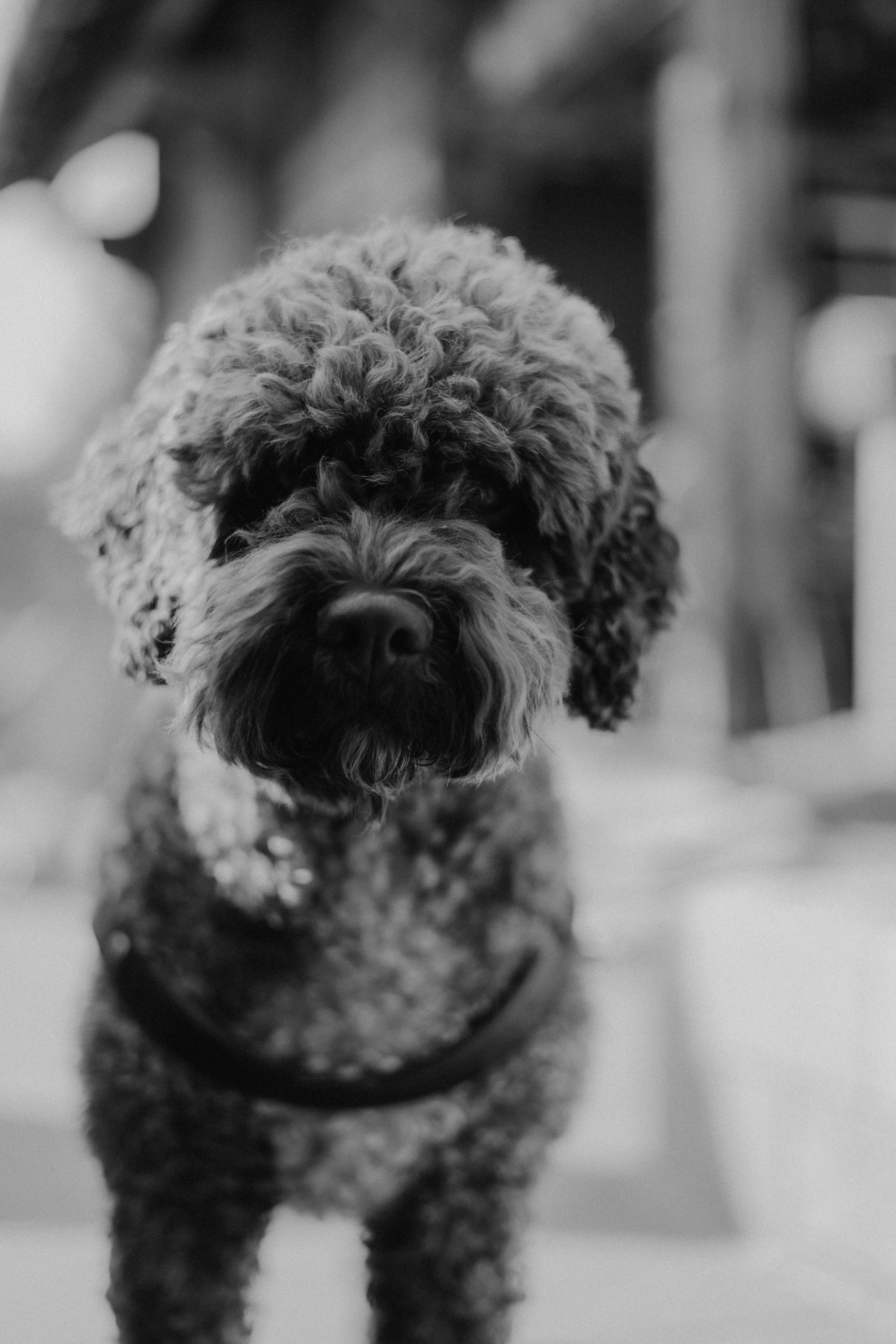 Photo by joshwithers