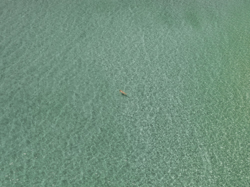 a small boat floating on top of a large body of water