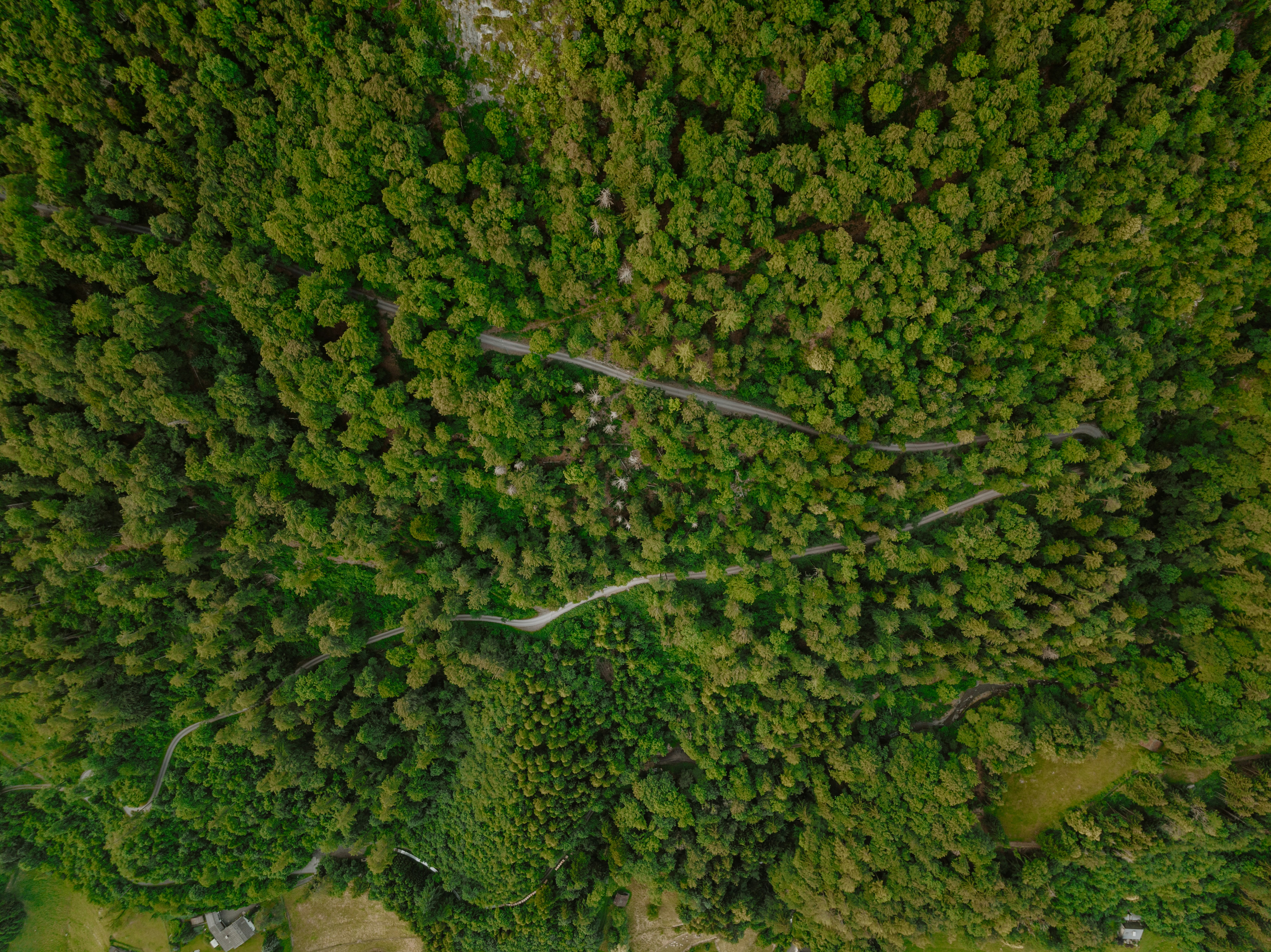 Photo by joshwithers