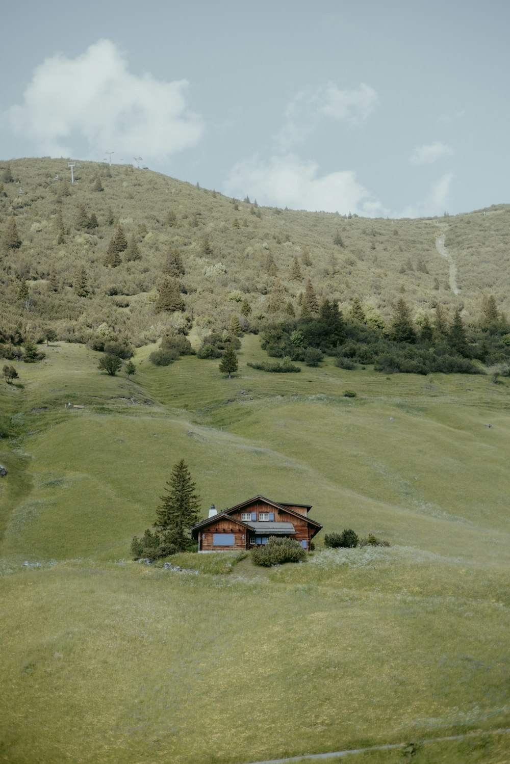 a house in the middle of a grassy field