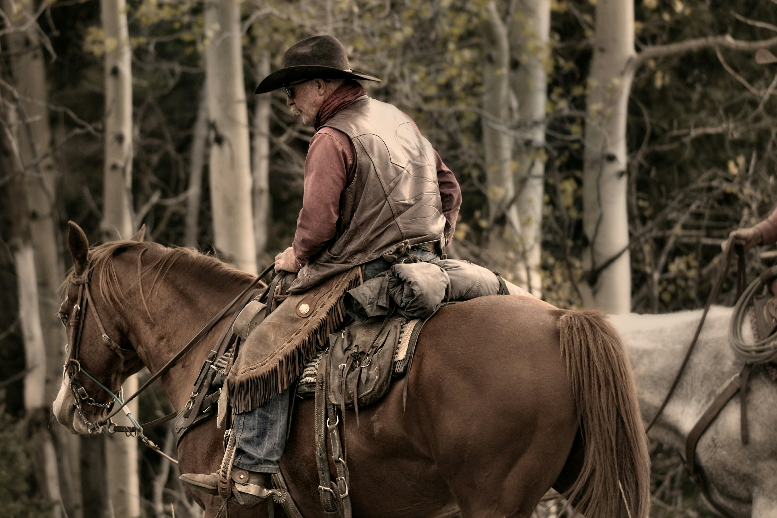 Reiten wie ein Cowboy