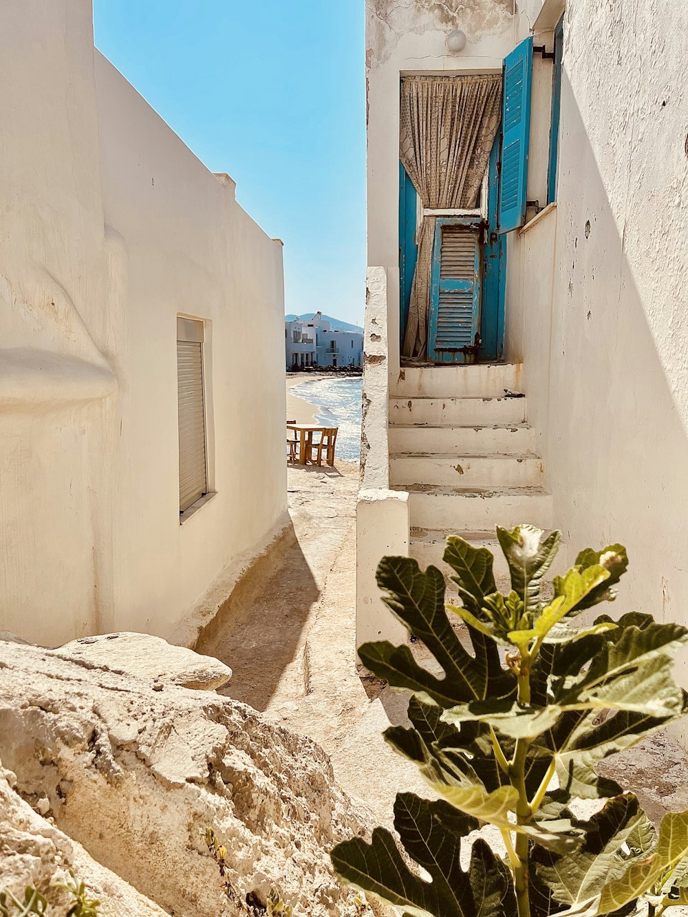 an alley way with a blue door and a green plant