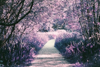 A serene pathway cutting through a lush collection of trees and tall grass, all bathed in hues of pink and purple. Dappled sunlight filters through the overhead foliage, creating patterns on the ground. The scene conveys a sense of tranquility and mystery.