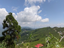 A lush, green landscape with rolling hills covered in tea plantations and a tree prominently in the foreground. A bright blue sky with scattered white clouds creates a serene backdrop. Small buildings with red and blue roofs are visible, along with winding roads and distant mountains.