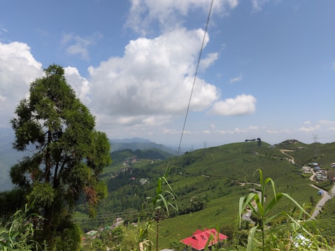 A lush, green landscape with rolling hills covered in tea plantations and a tree prominently in the foreground. A bright blue sky with scattered white clouds creates a serene backdrop. Small buildings with red and blue roofs are visible, along with winding roads and distant mountains.