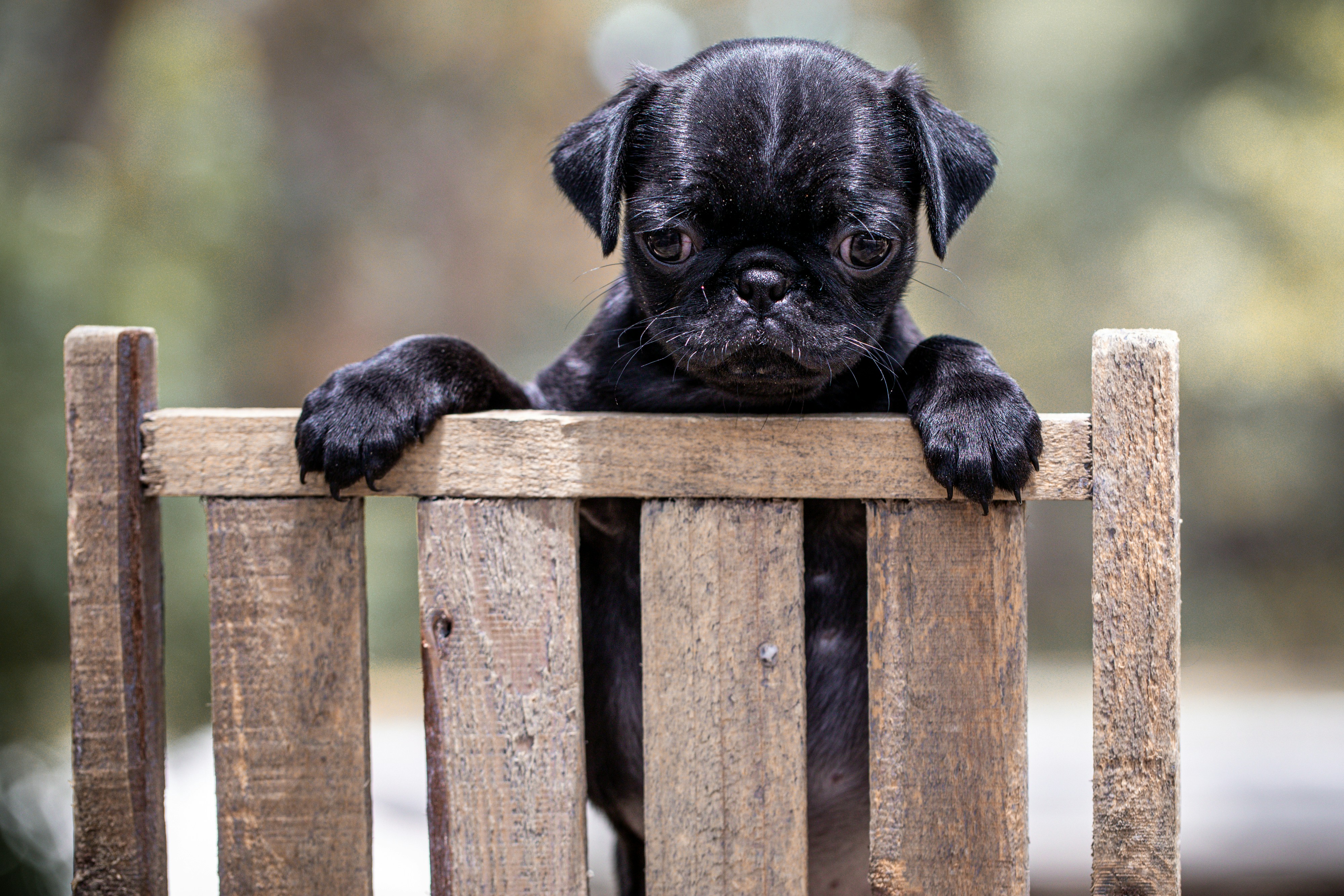 Joint Aging and Behavioral Shifts