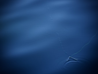 A tranquil, smooth surface of water with a subtle ripple effect near the bottom of the frame and a faint, meandering line possibly indicating a fishing line or natural element.