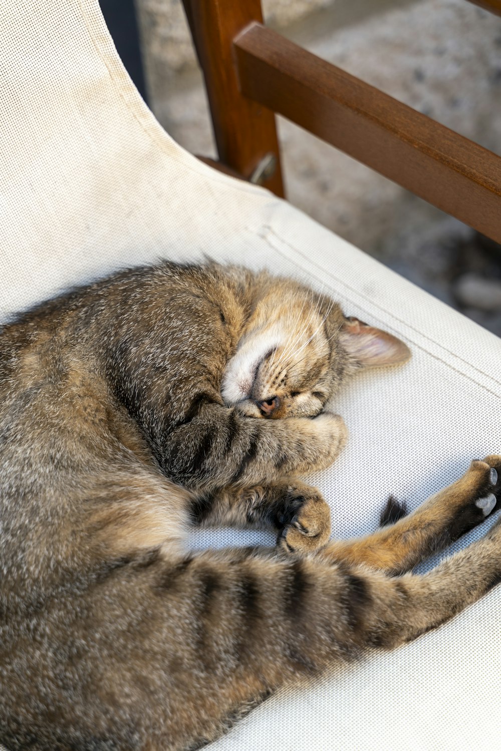 a cat sleeping on top of a white chair