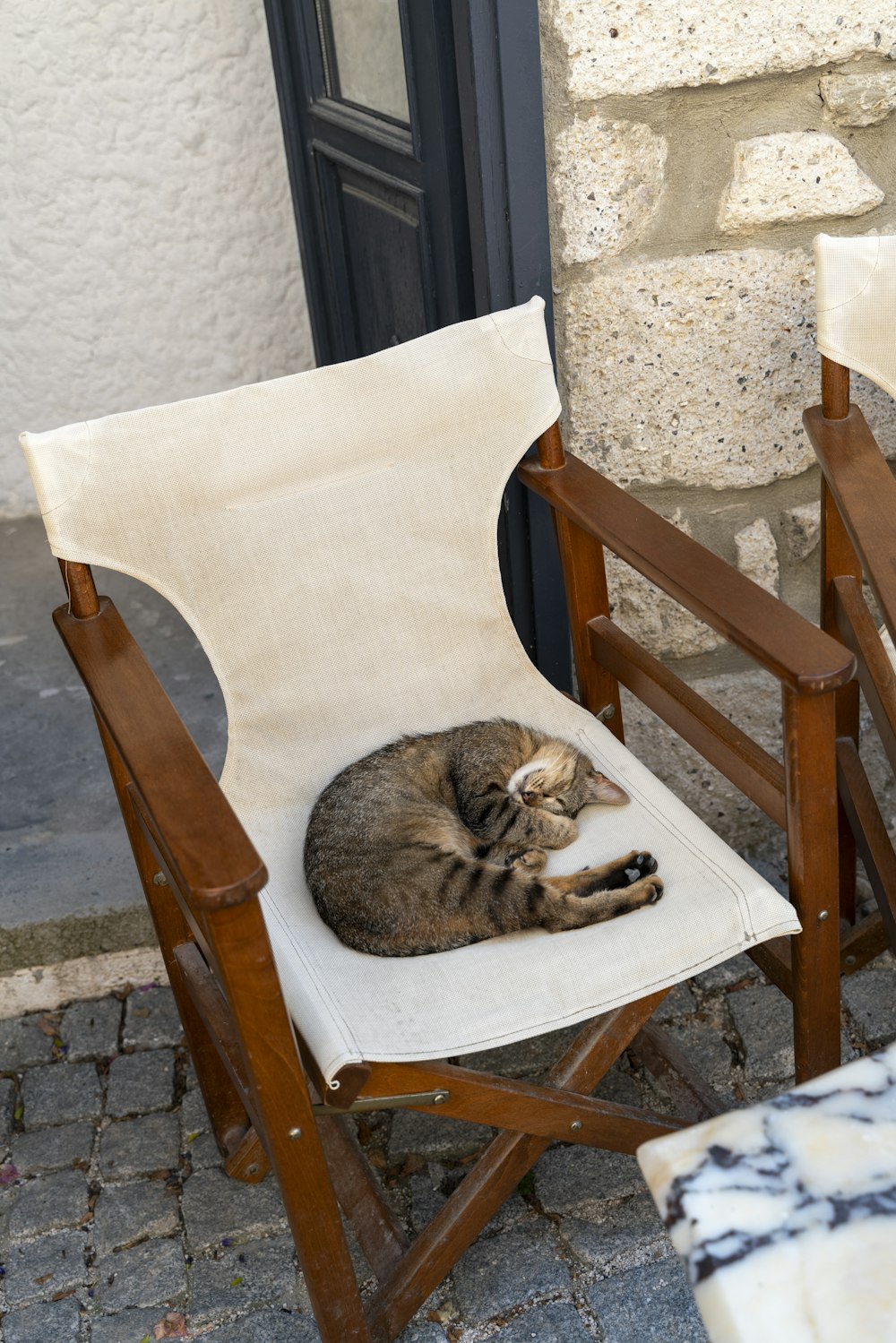 Un gato sentado en una silla fuera de una puerta