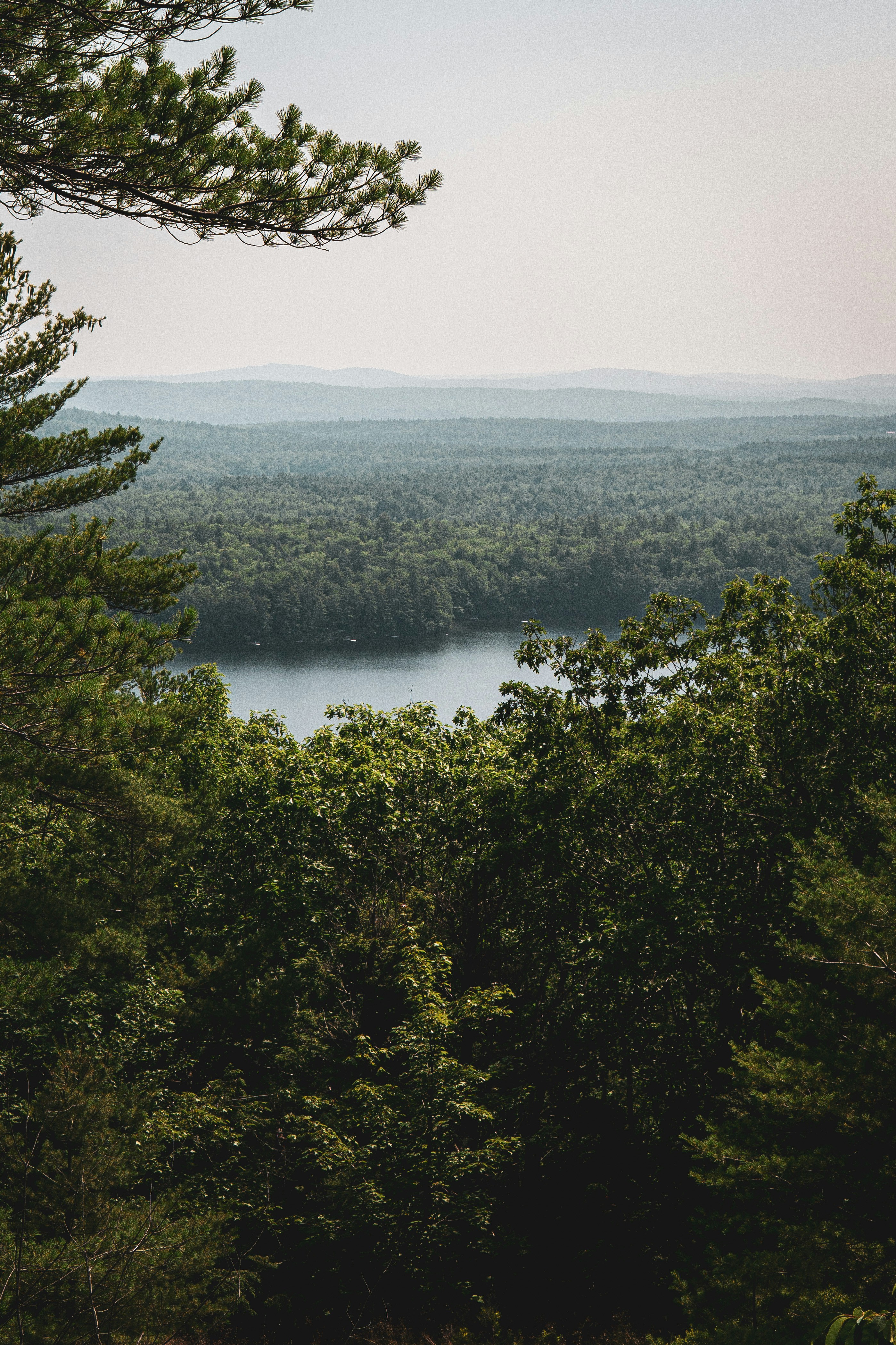 Photo by keepitchassephotography