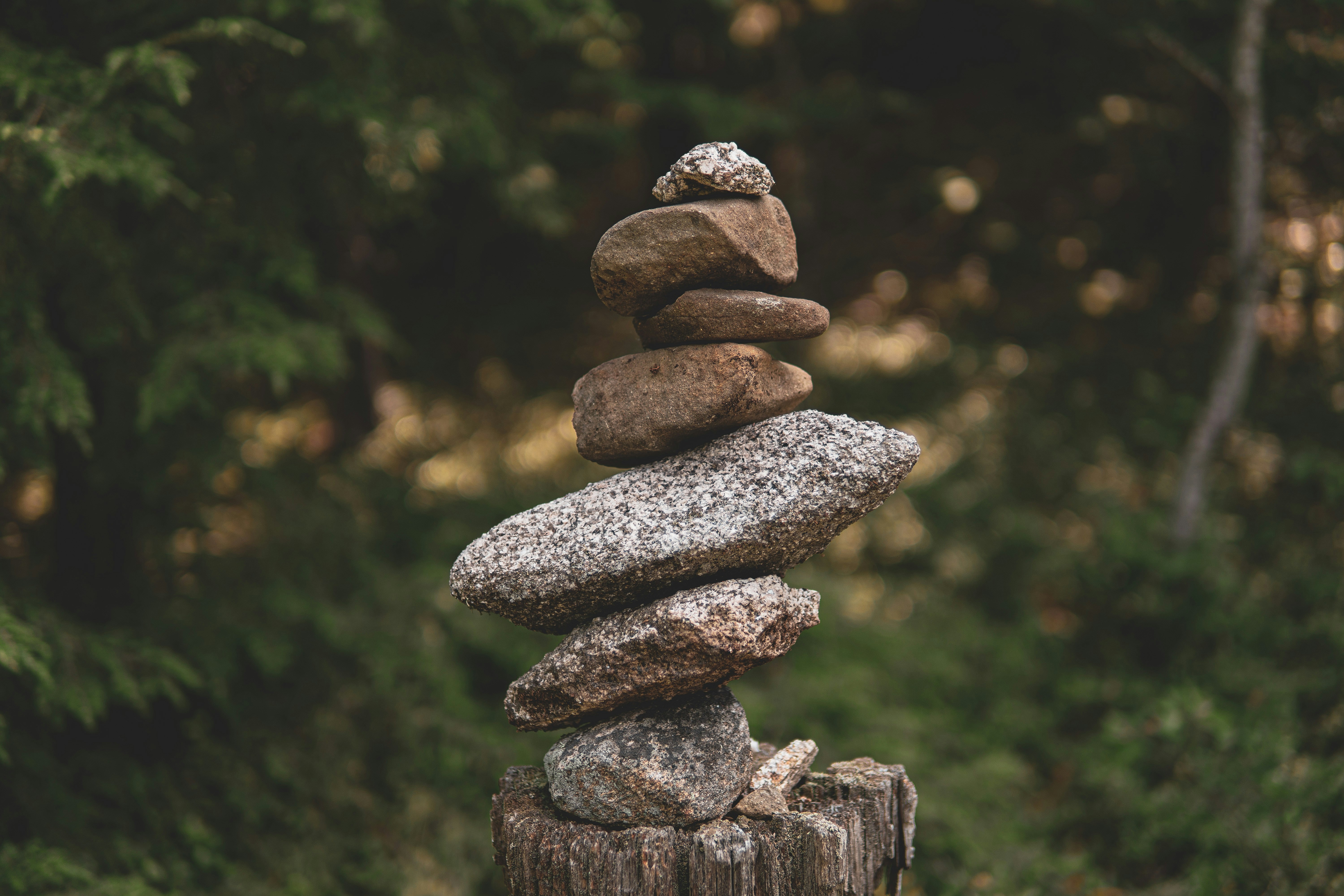 Photo by keepitchassephotography