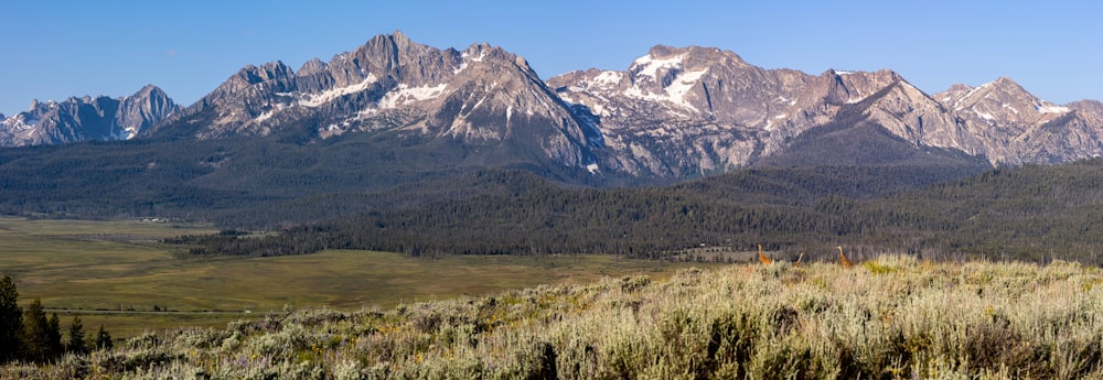 une vue d’une chaîne de montagnes de loin