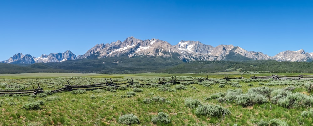 a field with a fence and mountains in the background