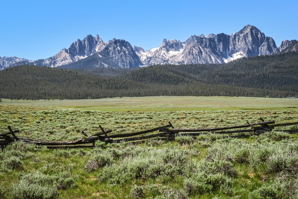 a fence in a field with mountains in the background