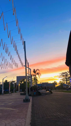 A sunset backdrop with volunteers cleaning up a local park.