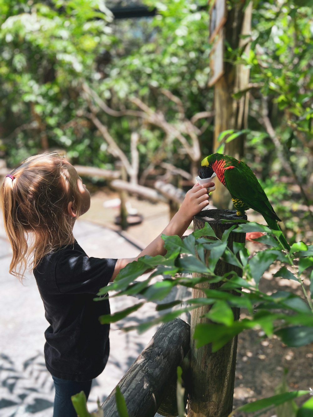 a little girl petting a green bird on a stick