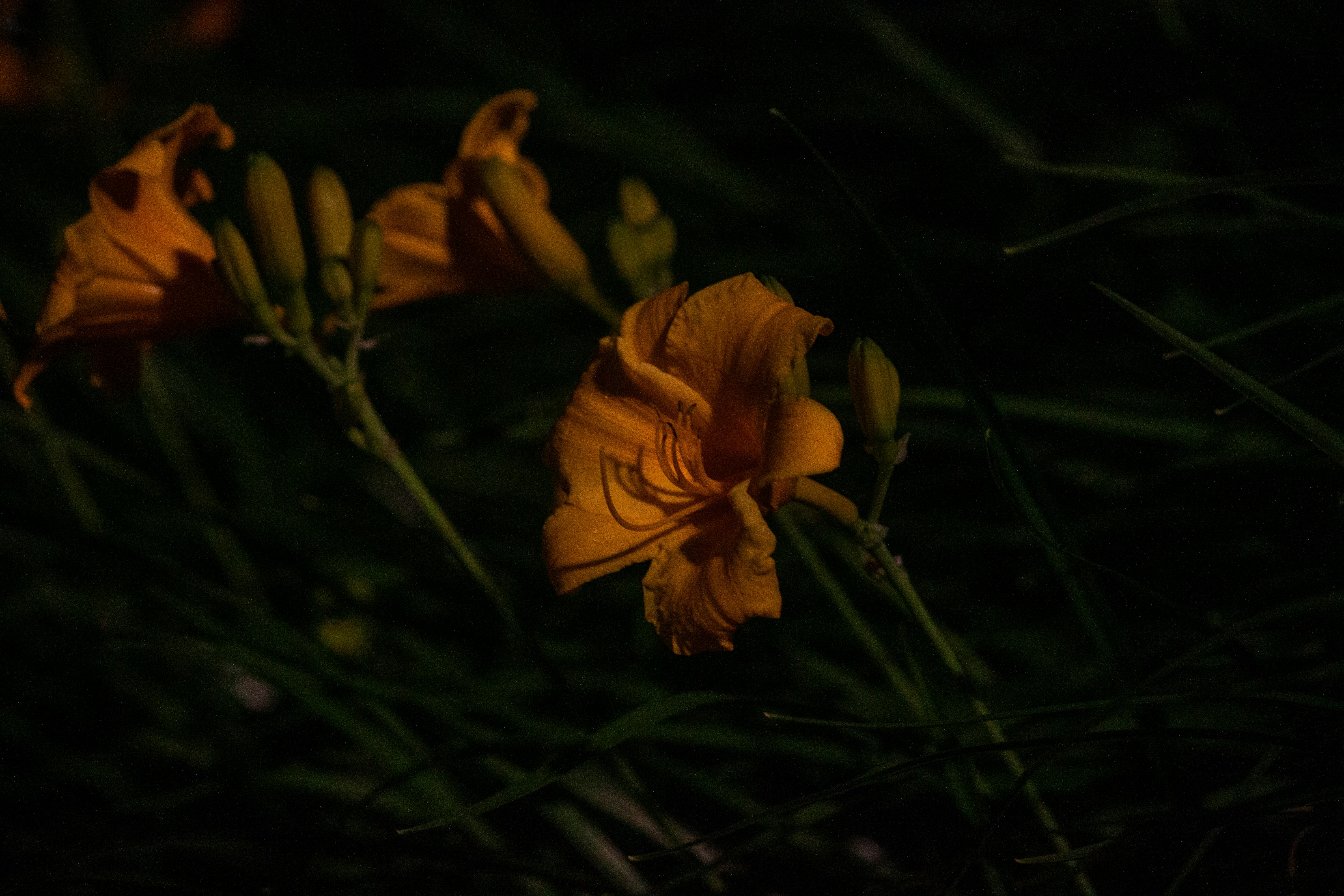 Photo by divijgarg04