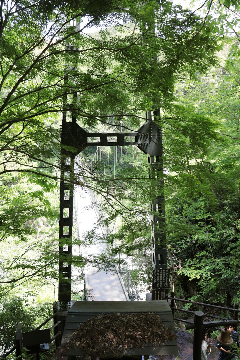 a tall metal structure sitting in the middle of a forest