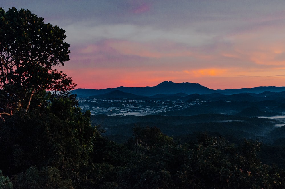 a sunset view of a mountain range with a tree in the foreground