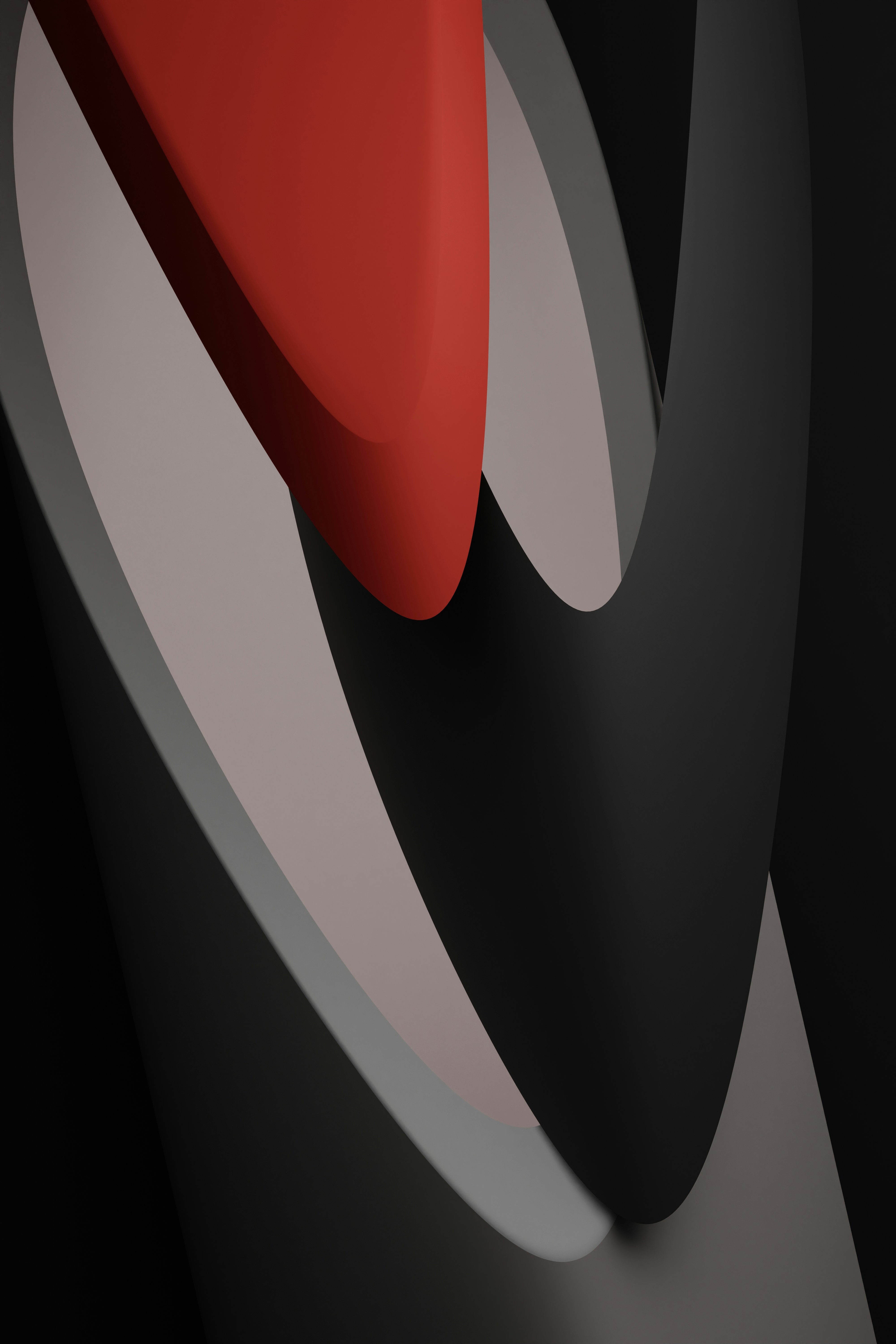 Photo by blenderdesigner