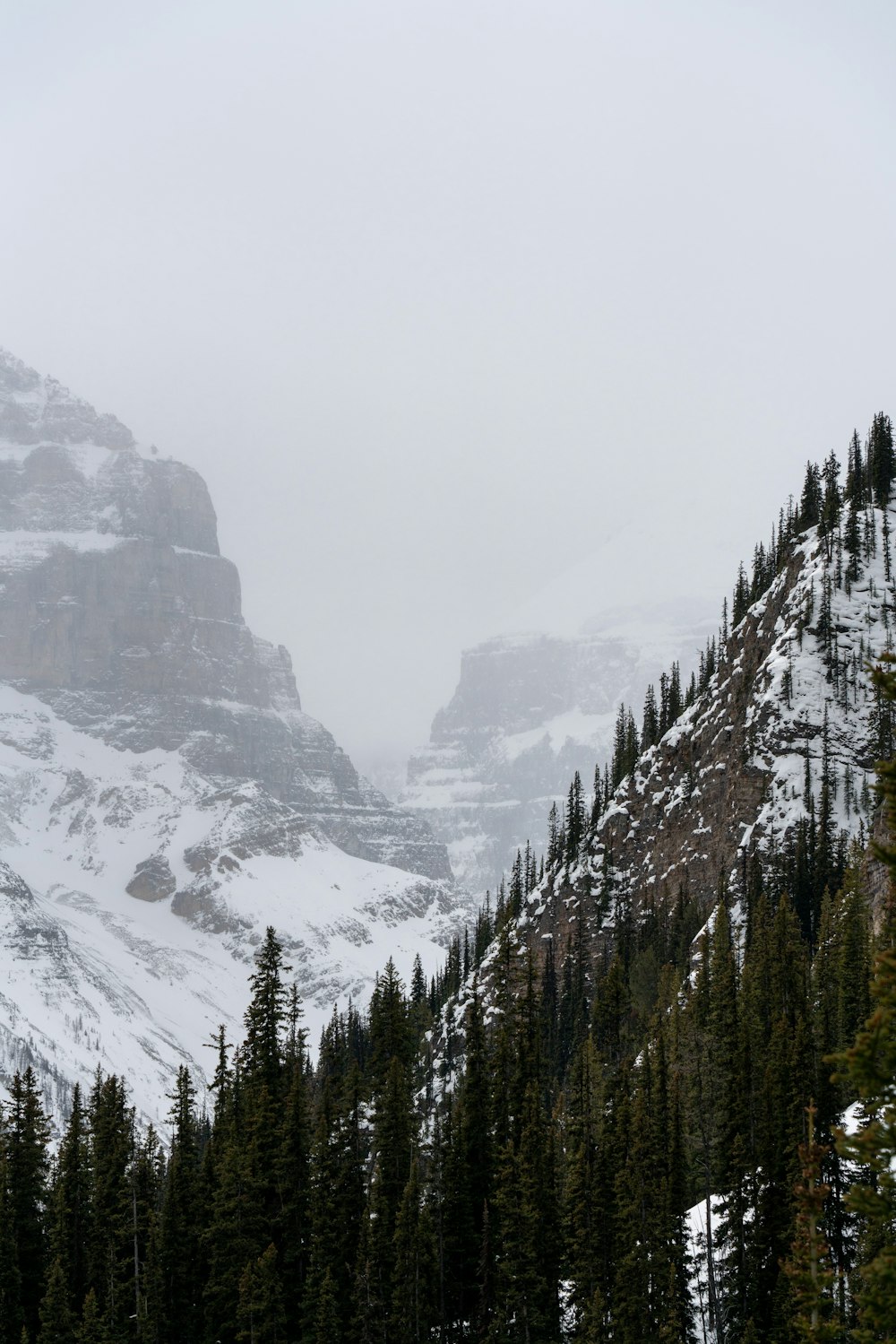 a mountain covered in snow and surrounded by trees