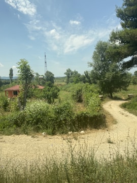 A rural landscape featuring a dirt path curving through lush greenery. There are dense bushes and tall trees on both sides, with a small red-roofed house partially visible. In the background, electricity poles rise into the clear blue sky with scattered clouds.
