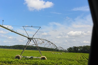 A large irrigation system spans a vast field of green crops under a bright, partly cloudy sky. The equipment is positioned to water the plants evenly, with its metal structure extending across the landscape. Trees are visible in the distance, marking the edge of the field.