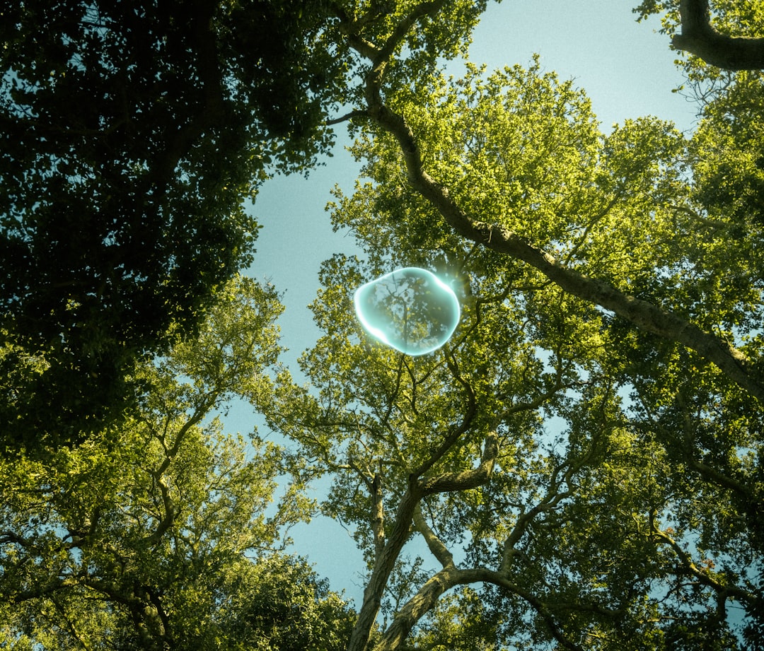 a bubble floating in the air between two trees