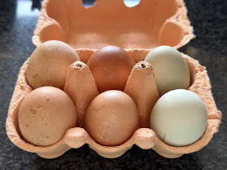 Workers inspecting freshly made egg cartons under bright emerald and anthracite lighting