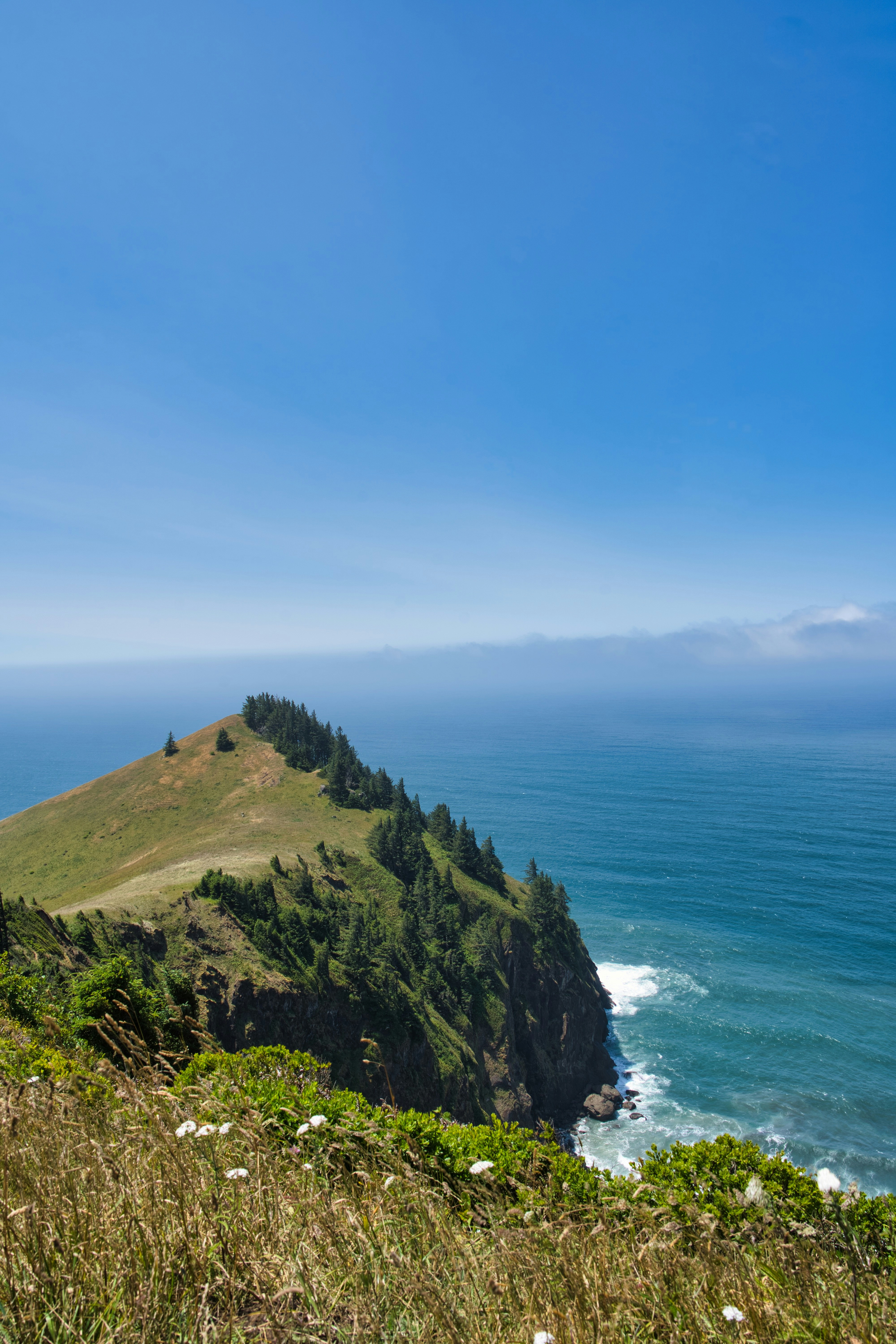 Photo by surfermike777