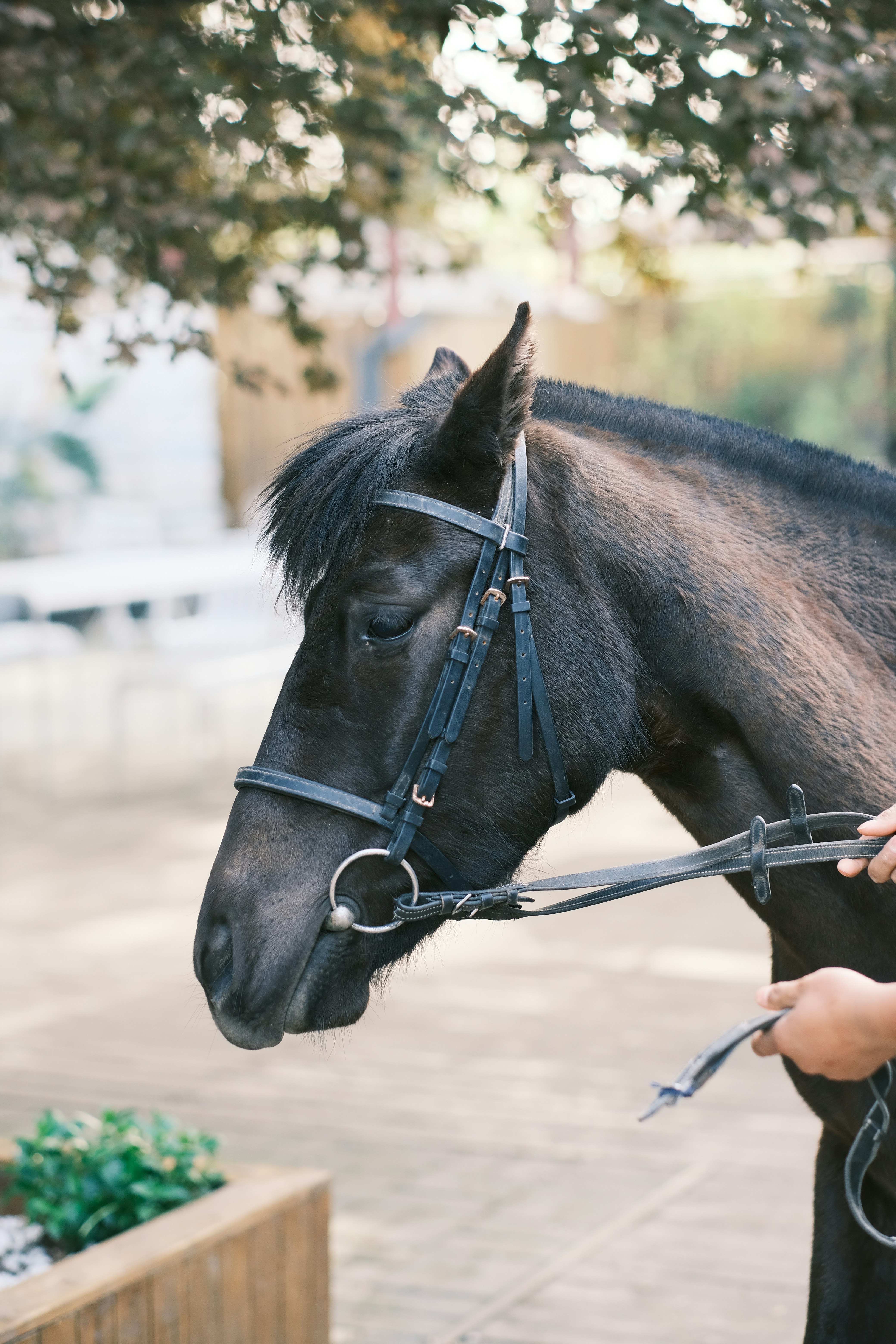 Photo by maycloudbackup