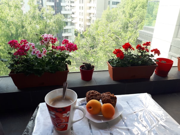 Cozy mini rattan bistro set arranged on a sunny balcony with a cup of coffee and a small plant.