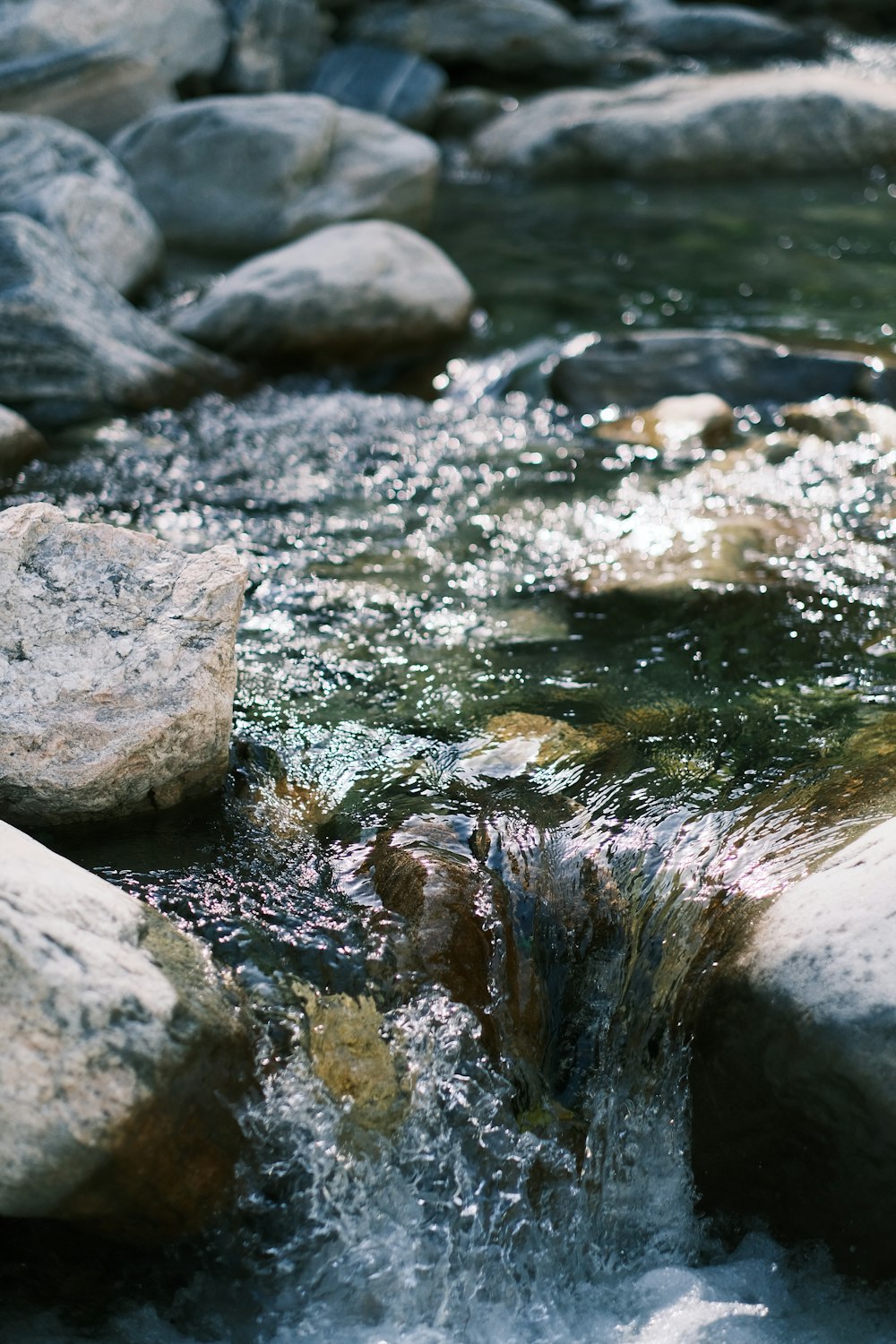 a close up of a stream of water with rocks